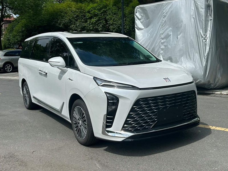 新款 别克GL8陆尊燃油版